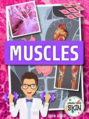 cover image of Muscles